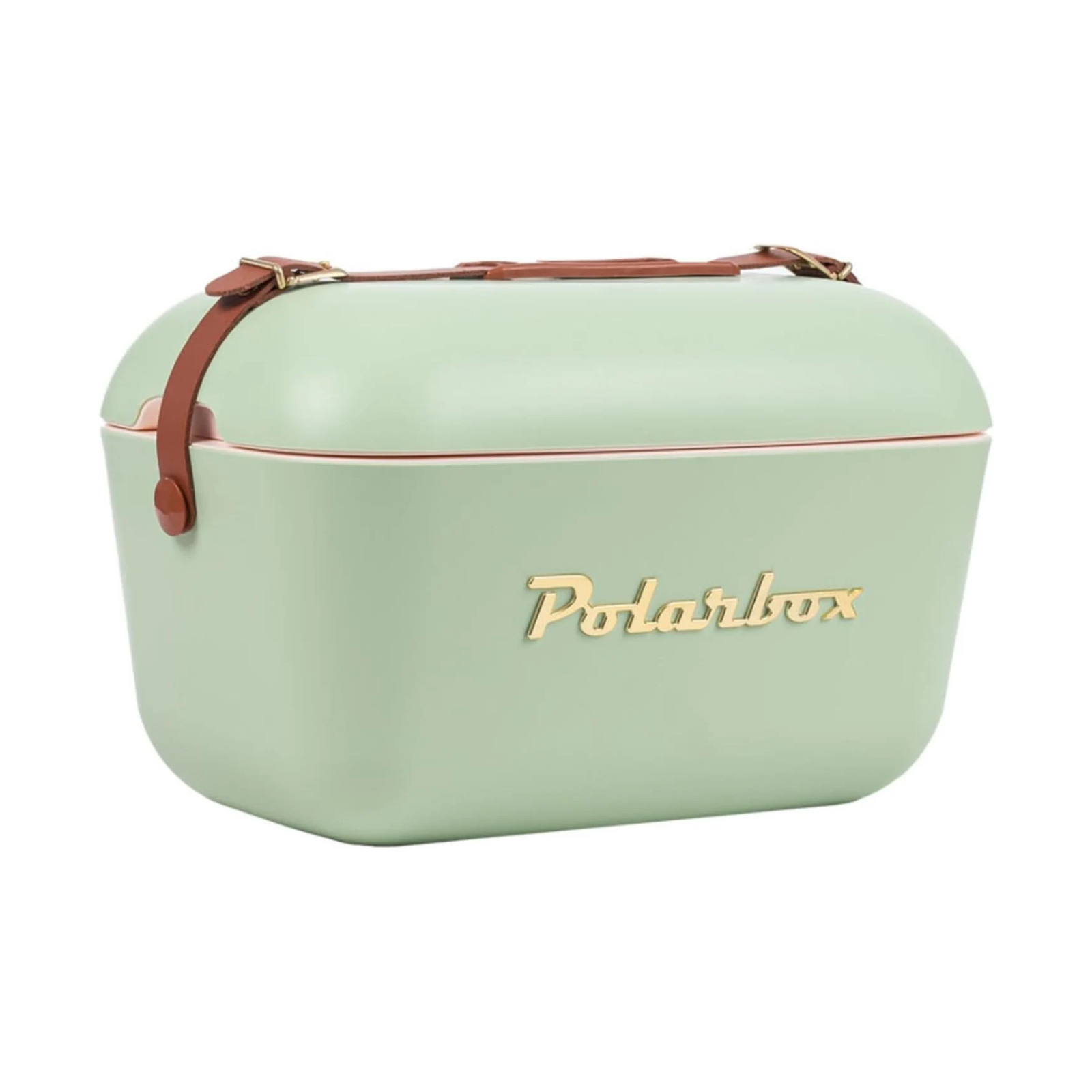 POLAR miniのみ Portable Cooler - Mini Cooler 20L, Beach Cooler, Small Portable