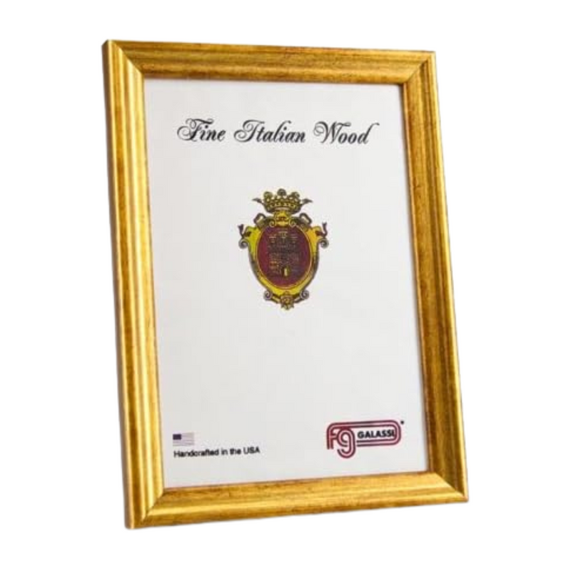 F.G. Galassi 13735 Gold Photo Frame 3.5 x 5