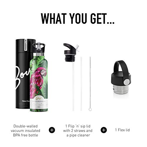 My Bougie Bottle | Macaw Stainless Steel Water Bottle With Straw | Pipe Cleaner & Ice Tray Included | Leak-Proof Lid | Double Insulated For Warm & Cold | BPA Free | 25 oz
