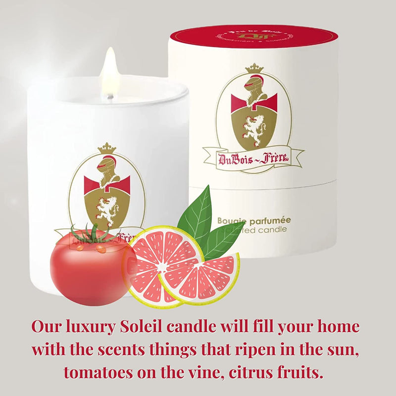 Dubois Frere Candle - Aromatherapy, Long Lasting Luxury Glass Candle Gifts for Weddings, Birthdays, Holiday Party, Aroma Home Fragrance Decor Vine Citrusy Scent Holiday Winter 190Gr (Soleil)