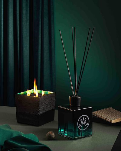 Amanda de Montal Armagnac Enchanté Diffuser - Notes of Fern, Pine Cone, Moss, & Armagnac - 500 ML