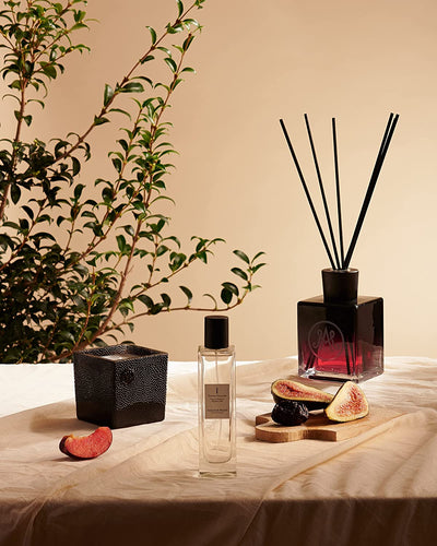 Amanda de Montal Fructus Vasconia Diffuser - Notes of Fig, Warm Grass, & Fig Milk - 500 ML