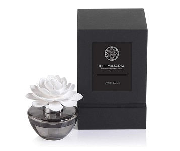 Zodax Illuminaria Porcelain Diffuser, Spanish Dahlia Fragrance