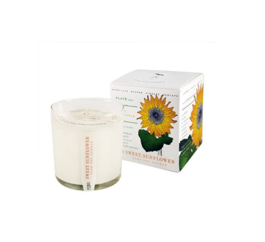 Kobo Sweet Sunflower Candle