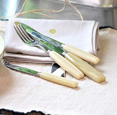 Sabre Natura 5pc Place Setting - Nacre Pearl