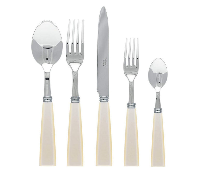 Sabre Natura 5pc Place Setting - Nacre Pearl